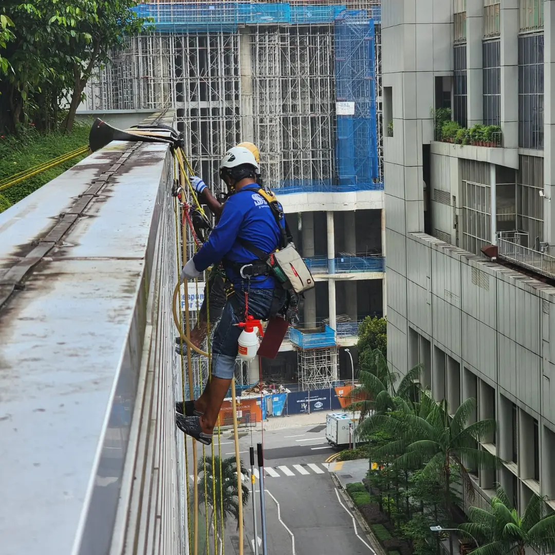 LED and Neon Installation or Repair