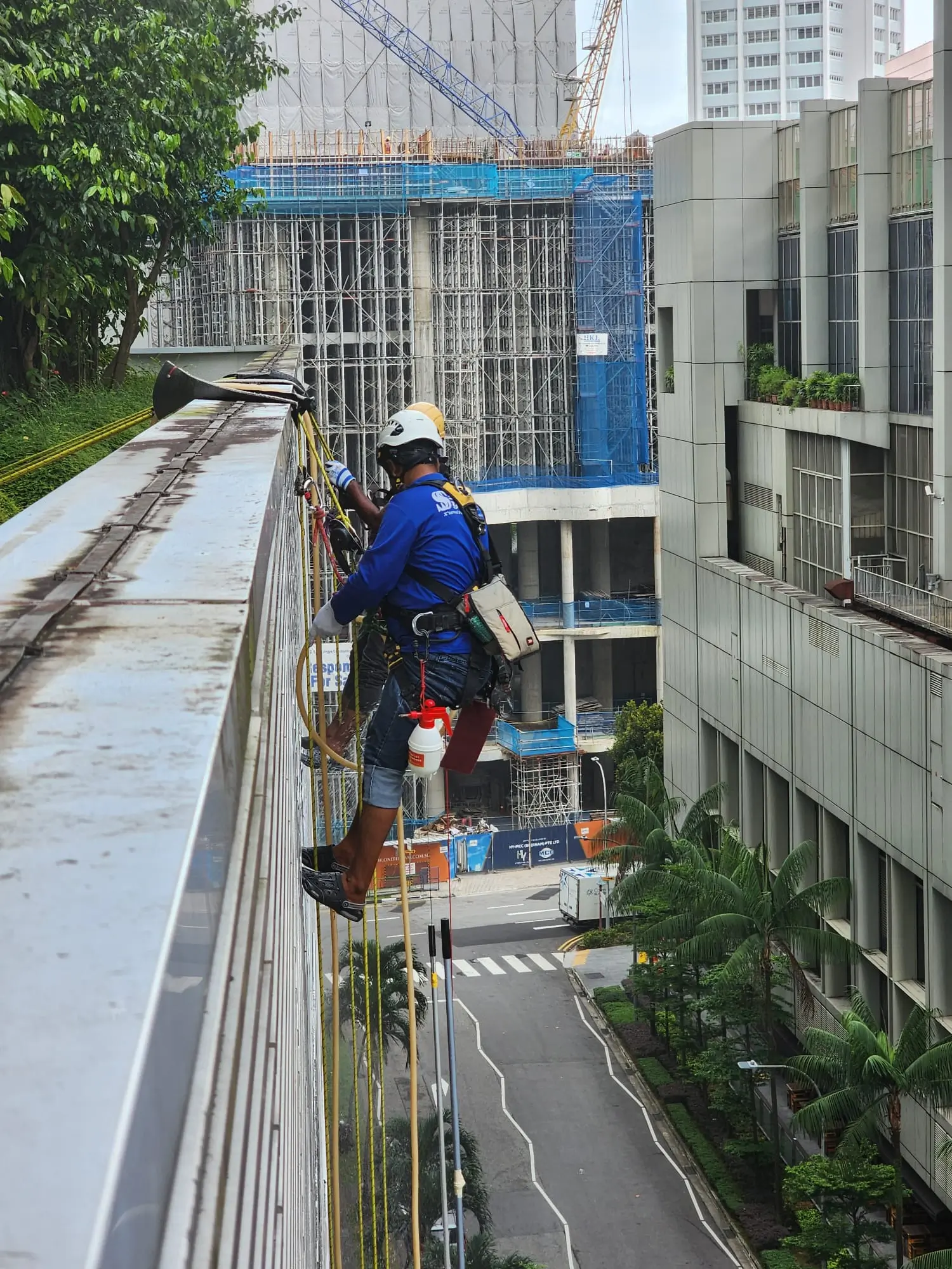 Glass Window Cleaning